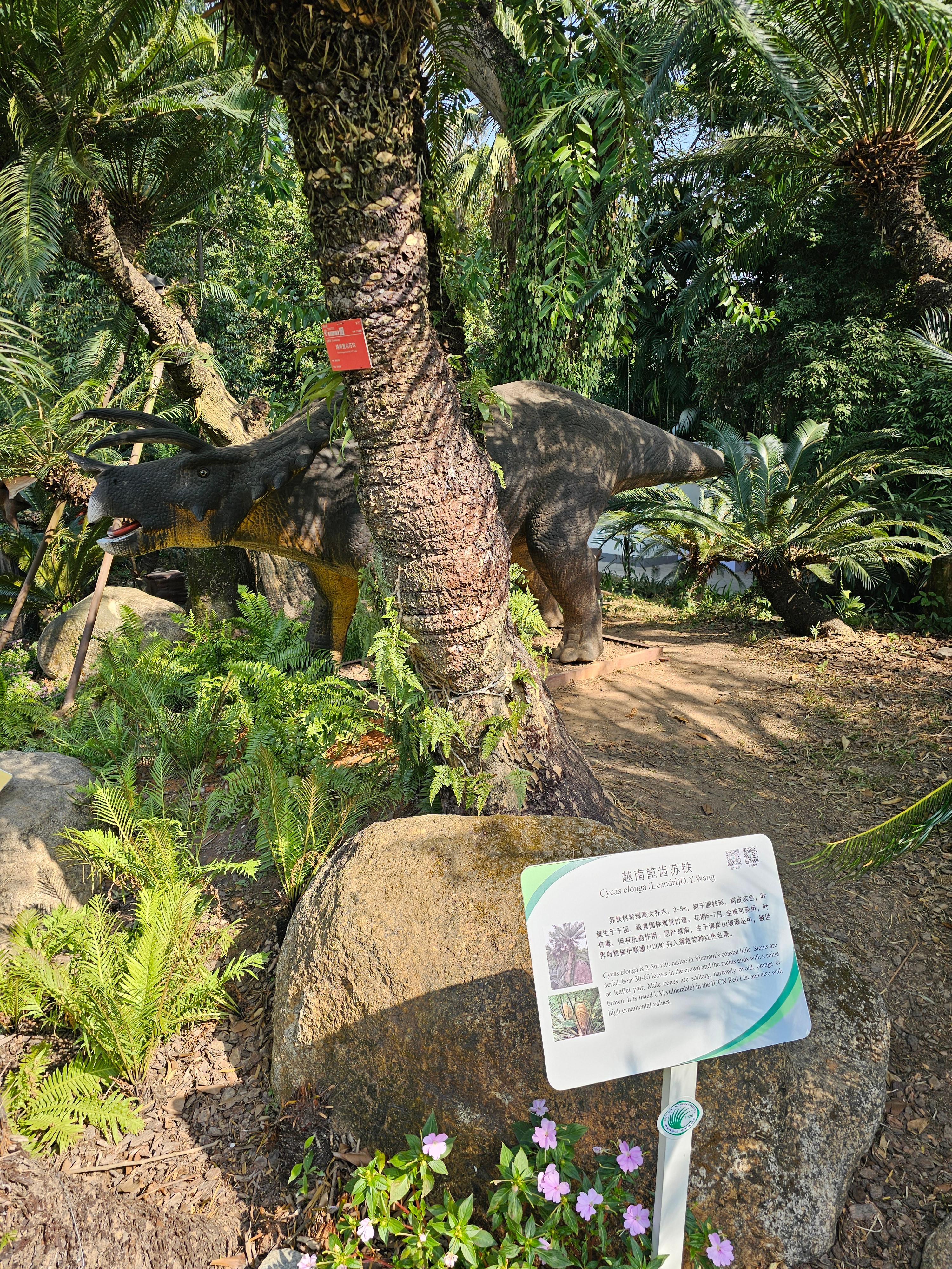 광저우 화남식물원