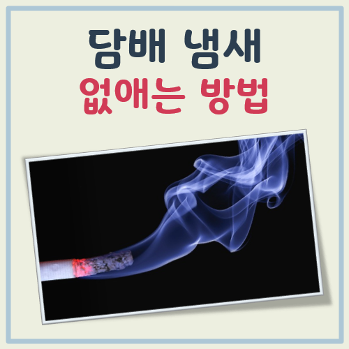 담배 냄새 없애는 방법 대표 이미지