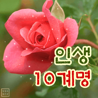 후회없는 삶을 위한 인생 10계명 좋은글