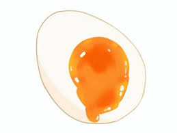 반숙 계란 삶는 시간