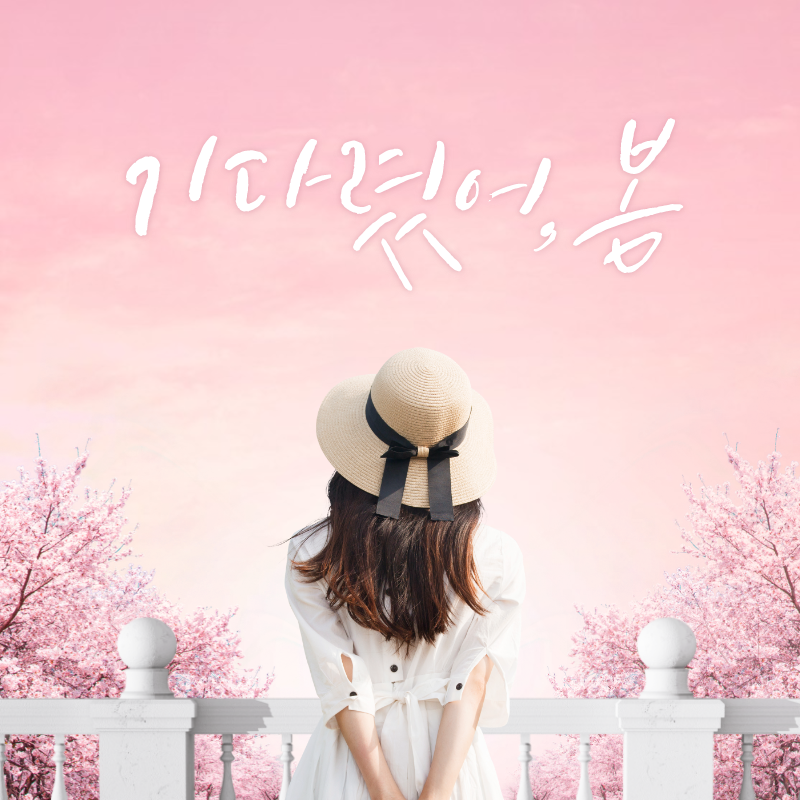 국내 봄 여행지