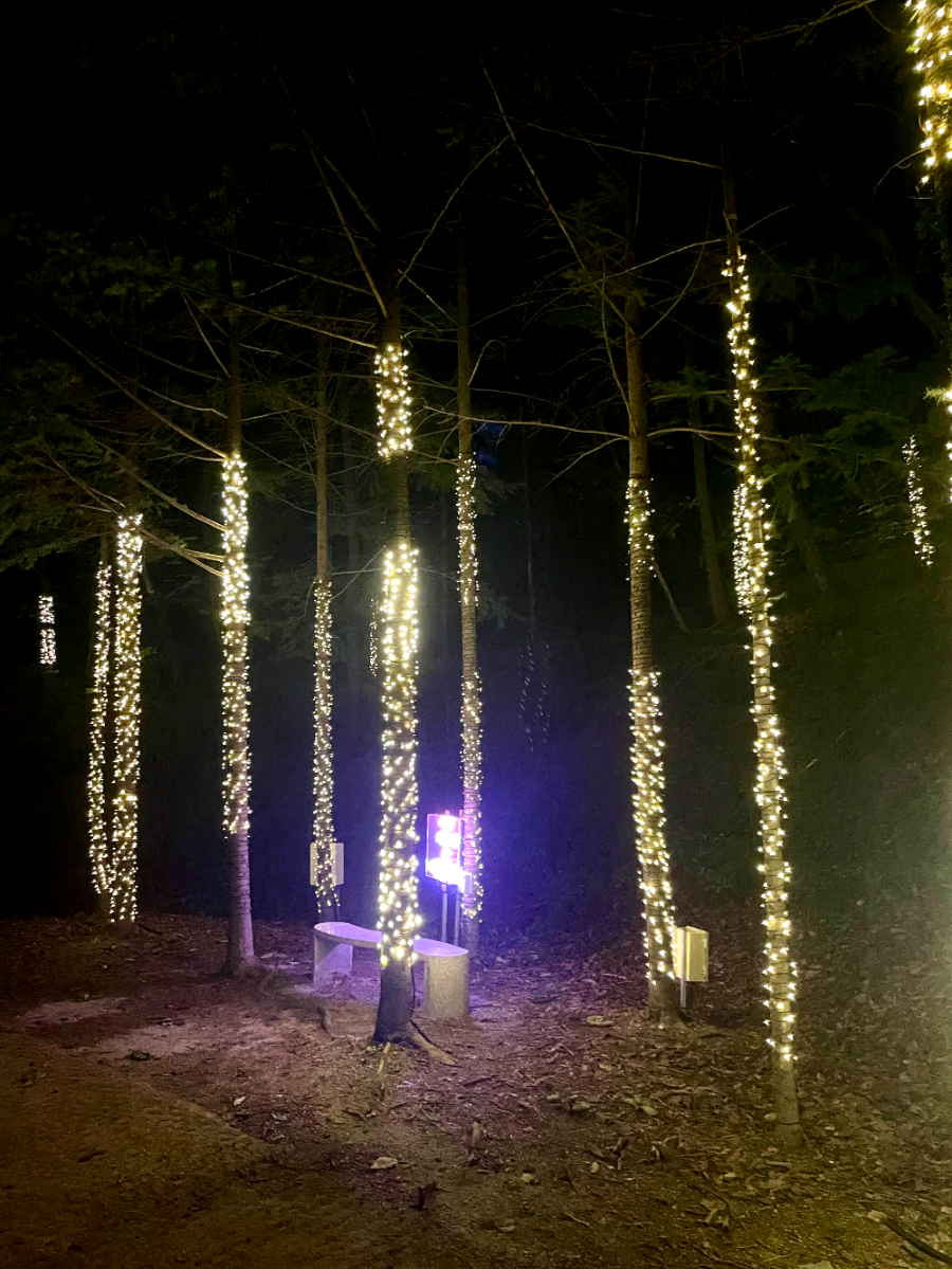 힐링의 아다지오