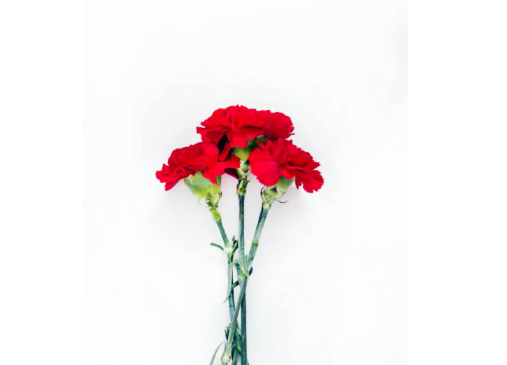 어버이날 공휴일