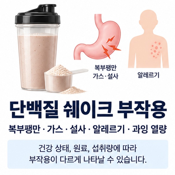 단백질 쉐이크 부작용과 복부팽만 가스 설사 알레르기 과잉 열량을 보여주는 건강 교육용 이미지