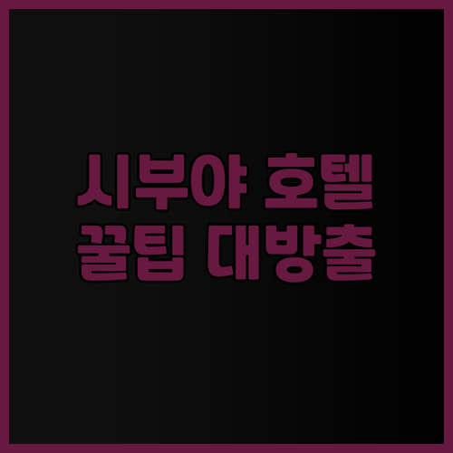 도쿄 시부야 여행 필수 정보! 5개