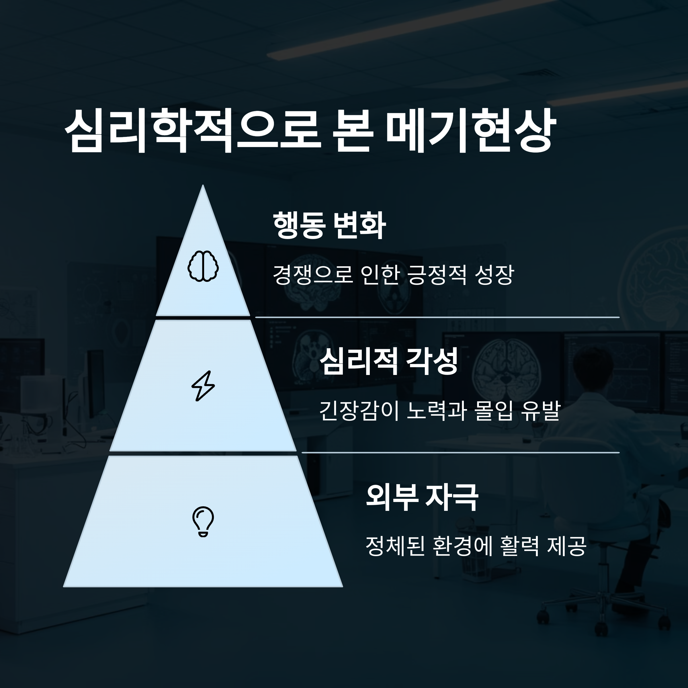 심리학적으로 본 메기현상