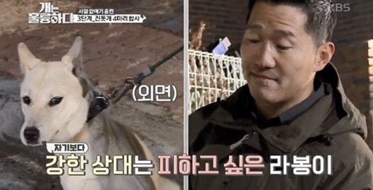 강아지를 보고 감정을 읽는 강형욱 훈련사