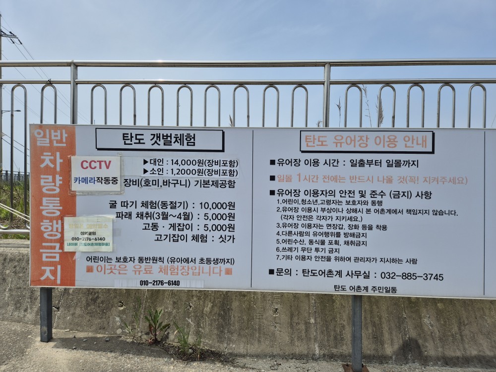 탄도 갯벌체험 안내문