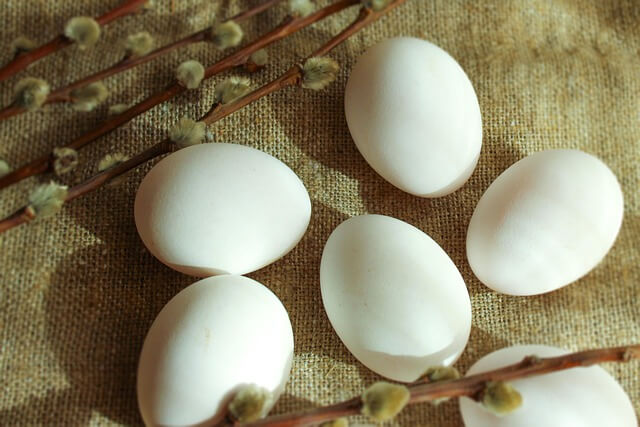 다이어트 간식 추천 10가지