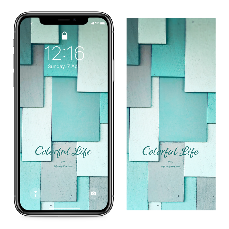 04 녹색 나무 판재 C - Colorful Life 아이폰초록색배경화면