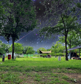 목계솔밭 캠핑장 정보