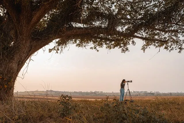 풍경 사진 잘 찍는 방법 꿀팁_4