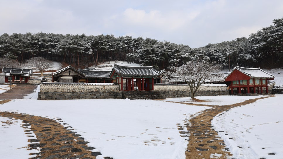 서천 문헌서원 &amp; 천년솔바람길
