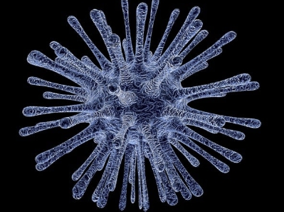 피성년후견인 뜻