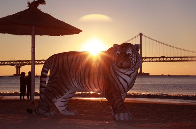 광안리-해수욕장-검은호랑이