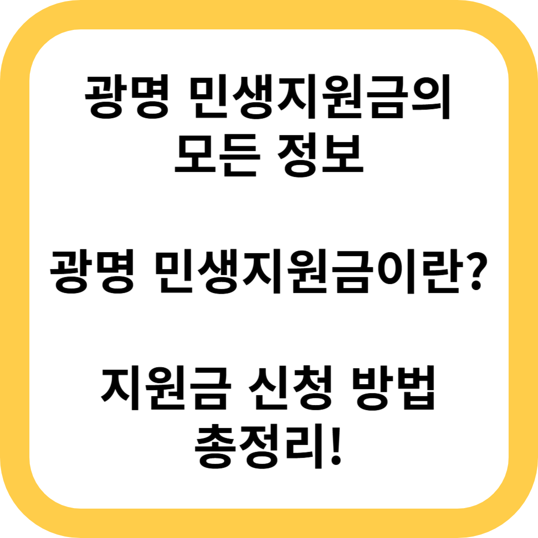 민생지원금