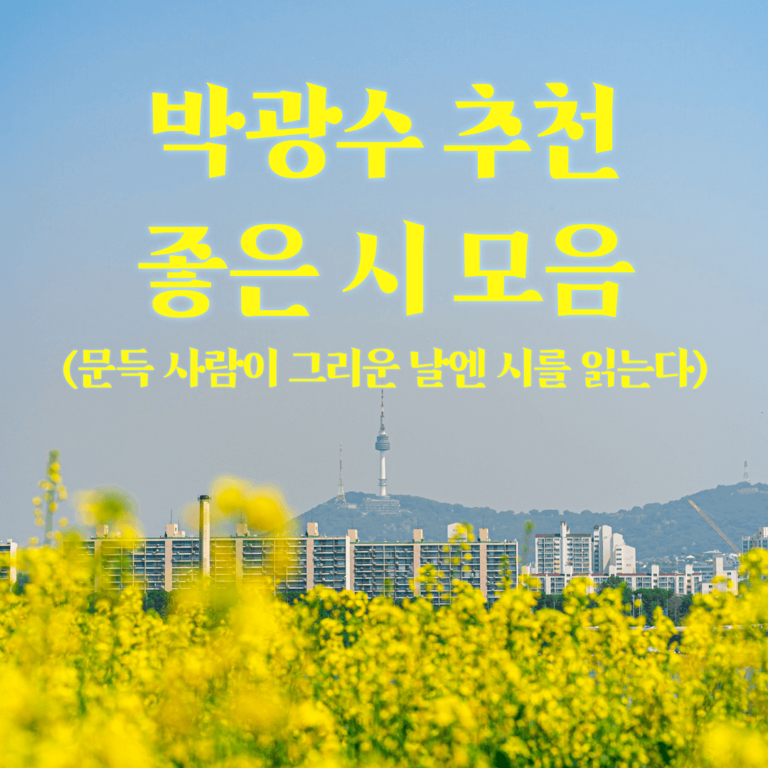 박광수 추천 좋은 시 모음 - 아름다운 시