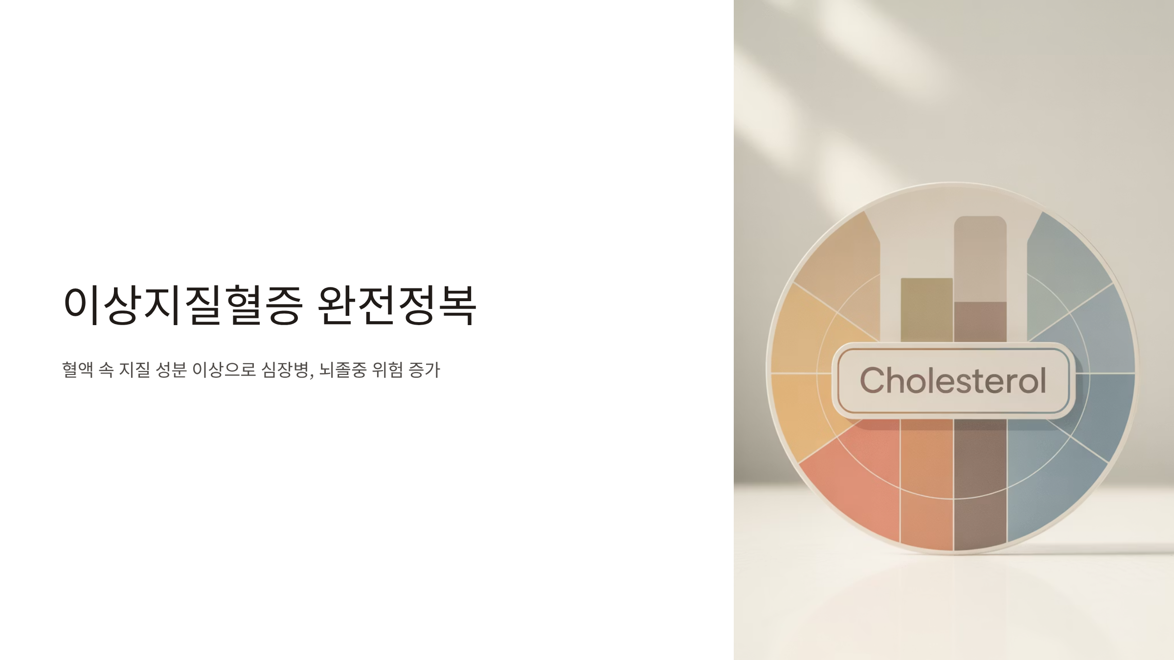 이상지질혈증 이란 식이요법 고지혈증