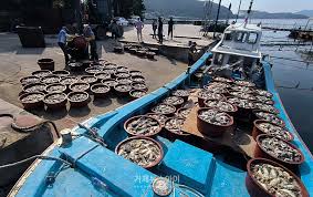 2025 거제시 전 시민 생활안정지원금 20만 원 -추진 현황-농작피해