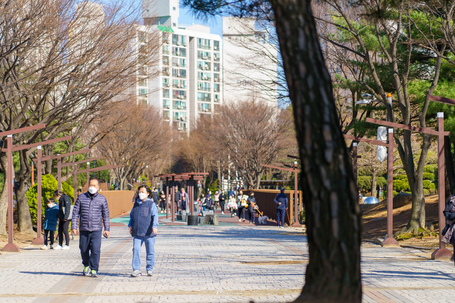 중앙공원 애견운동장