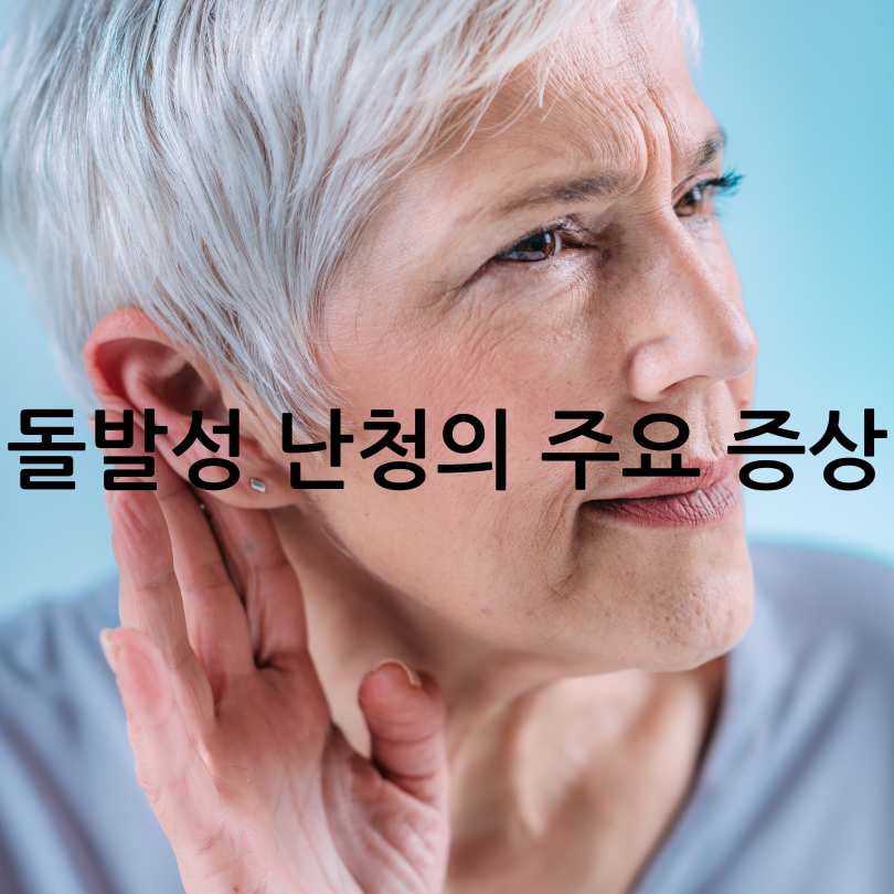 돌발성 난청