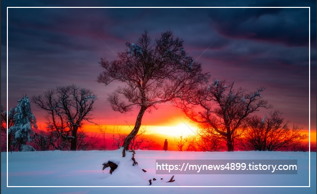 겨울에 어울리는 필사추천글귀