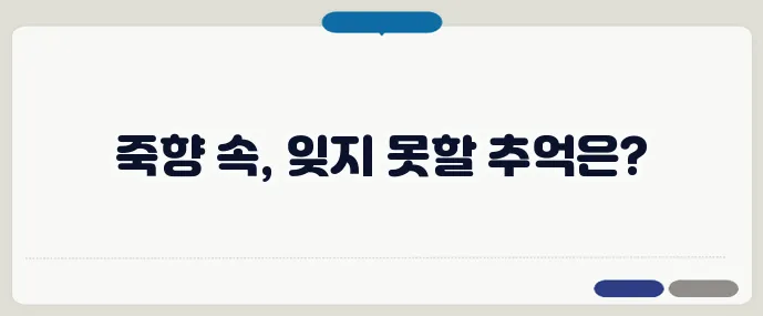 전남 담양 낭만 여행 코스 제안