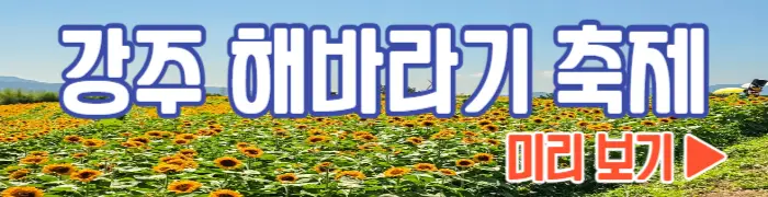 강주 해바라기 축제 보기