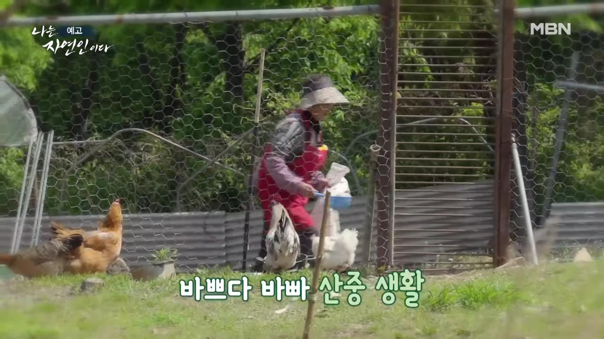 나는 자연인이다 쓰러진 막내딸 기적 만든 후 이젠 천국 떠나보낸 고마워요 엄마 자연인 구자순 소개 및 이승윤 출연 554회 다시보기