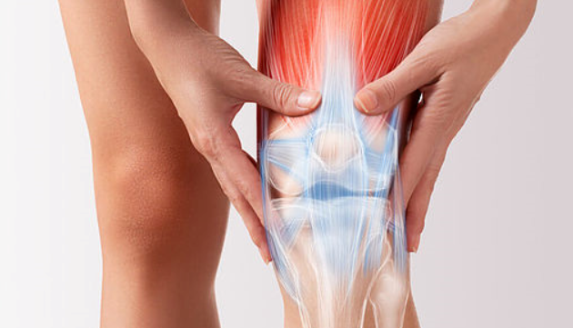 무릎 안쪽 통증