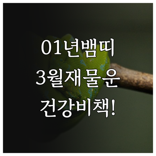 2001년생 뱀띠 2026년 3월 재..