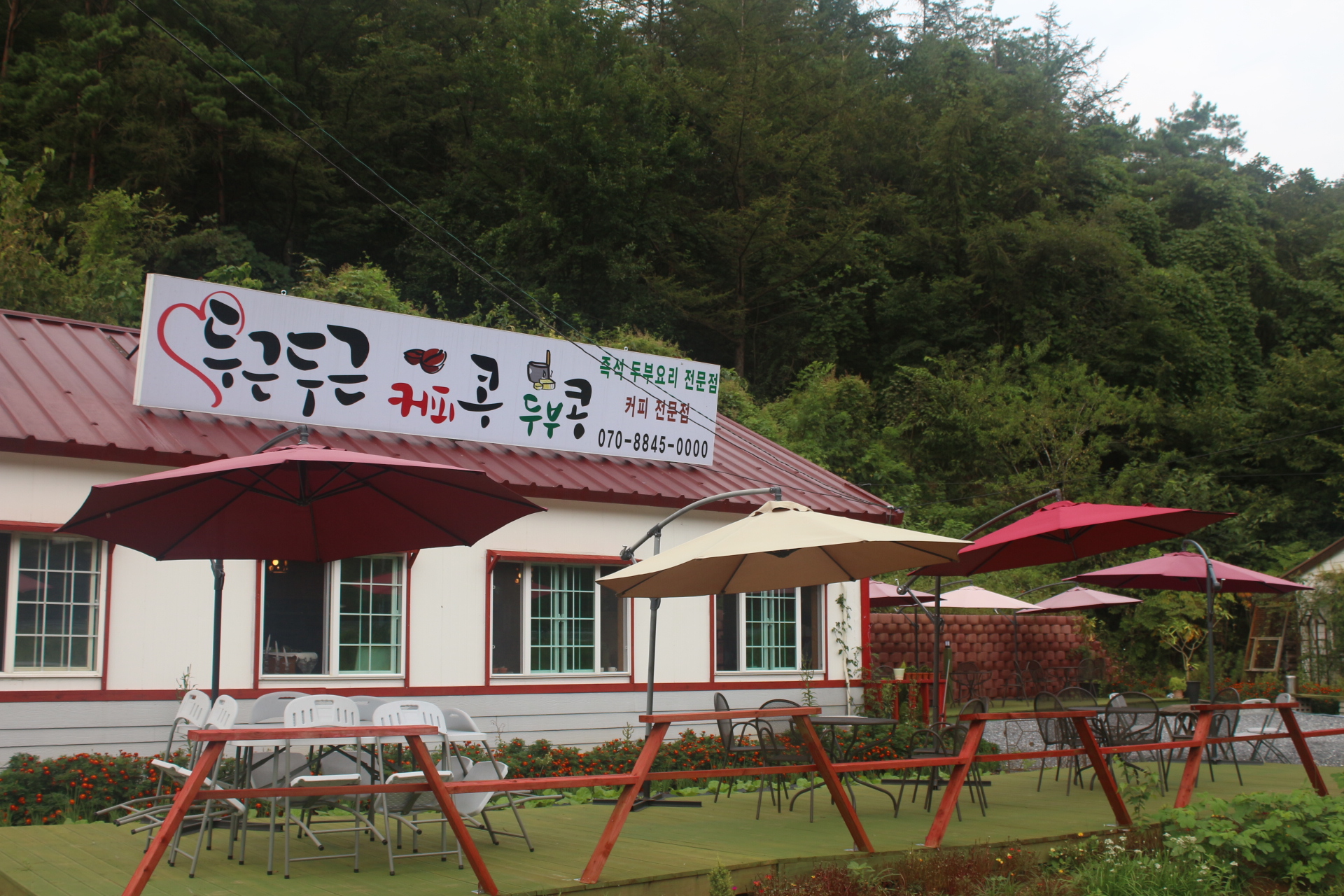 두근두근콩콩