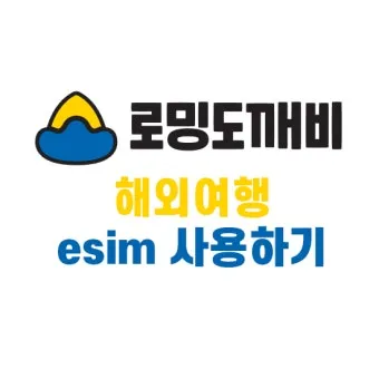 로밍 도깨비 esim 등록 절차 및 갤럭시 아이폰 설정법 따라하기_11