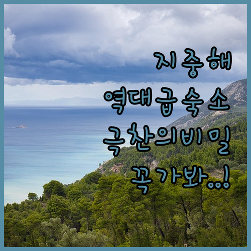 지중해 낭만 가득한 Breezot Y..