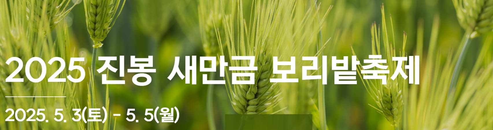 [5월 축제]2025 진봉 새만금 보리밭축제❘기간, 일정, 체험 프로그램, 공연 총정리