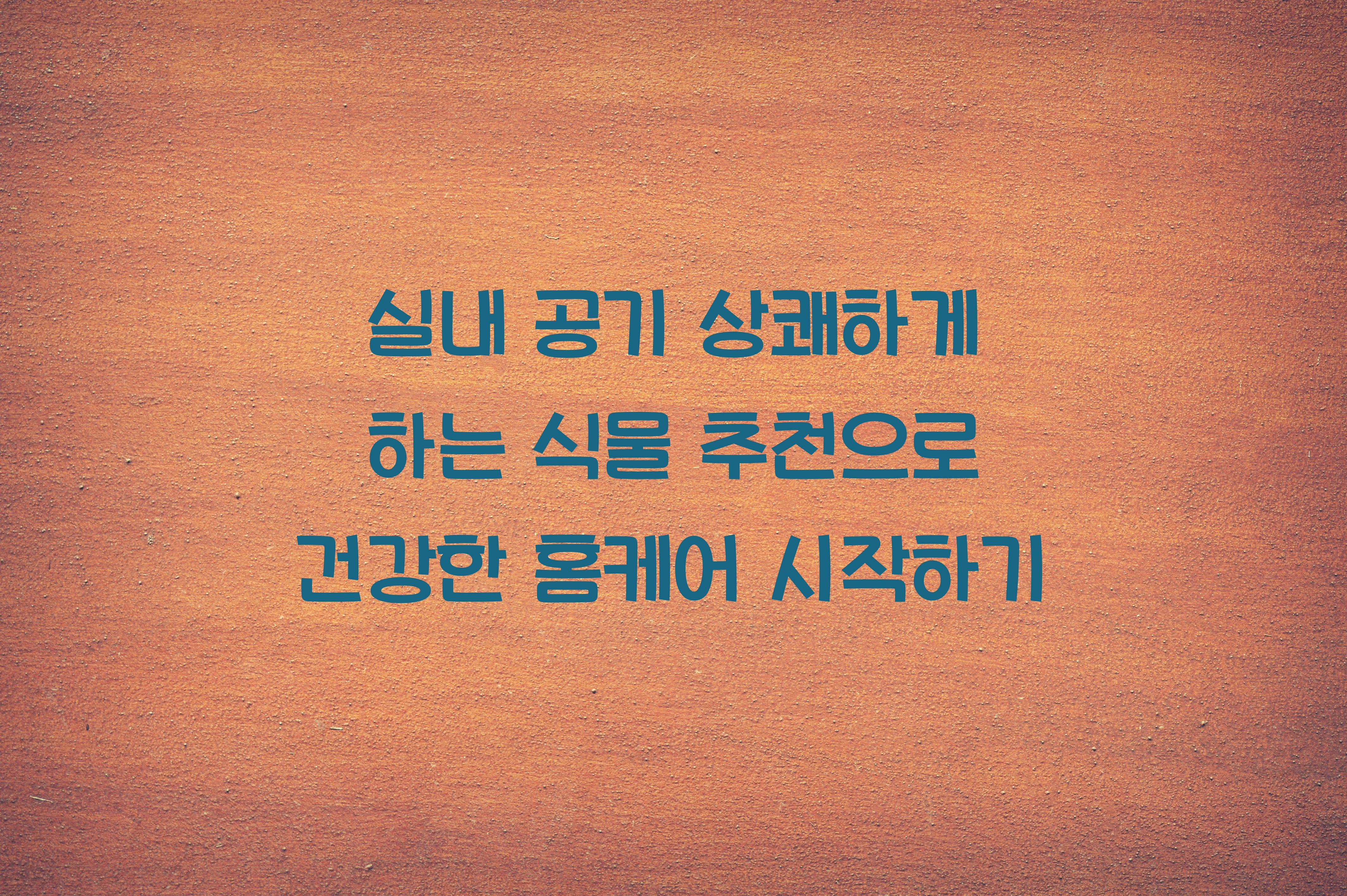 실내 공기 상쾌하게 하는 식물 추천