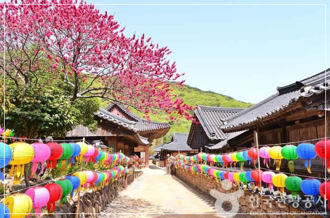 순천 가볼만한곳 베스트10 조계산 도립공원