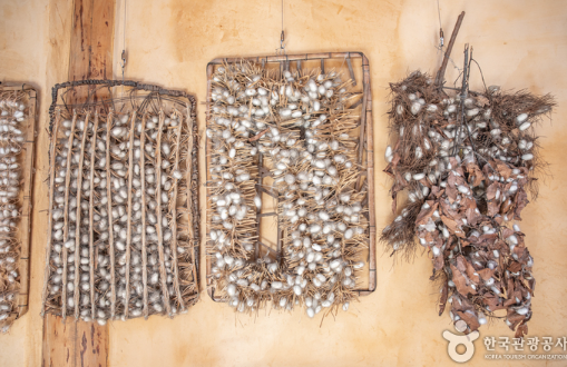 함창명주 허씨비단작물