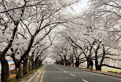 경주 보문정 & 황룡원