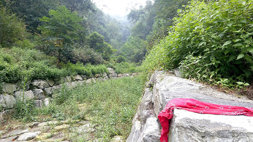 서울둘레길 4코스 대모산·우면산
