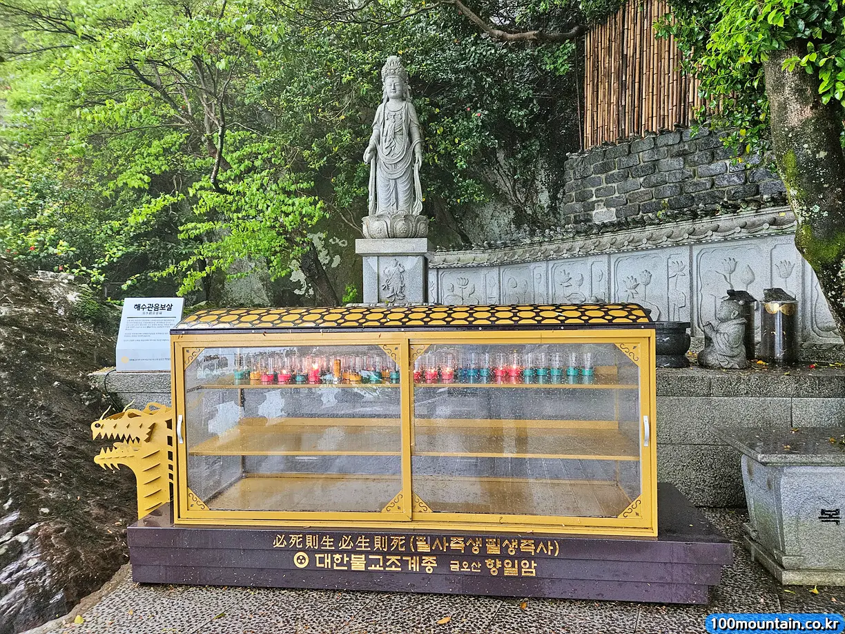 사랑나무