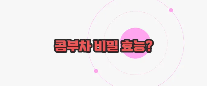 콤부차 효능 궁금한 점, 풀어보죠