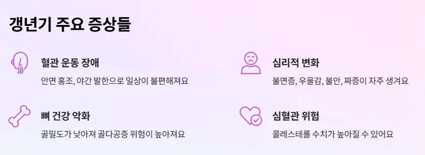 갱년기 주요 증상