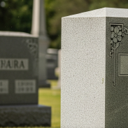 벌초 대행 서비스 비용 비교