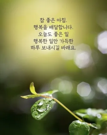 화요일 아침 인사말 좋은 글 9월 가을 이미지들_12