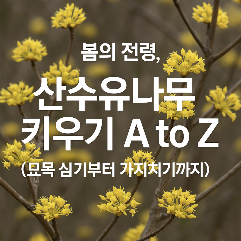 봄의 전령, 산수유나무 키우기 A to Z (묘목 심기부터 가지치기까지)