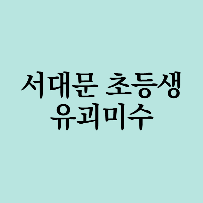 초등생 유괴미수