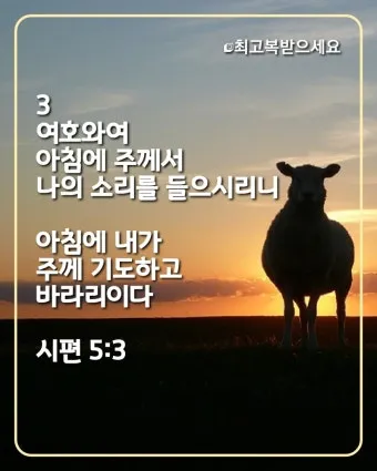시편 5장 3절 읽기 - 여호와여 아침에 주께서 나의 소리를 들으시리니 아침에 내가 주께 기도하고 바라리이다_21
