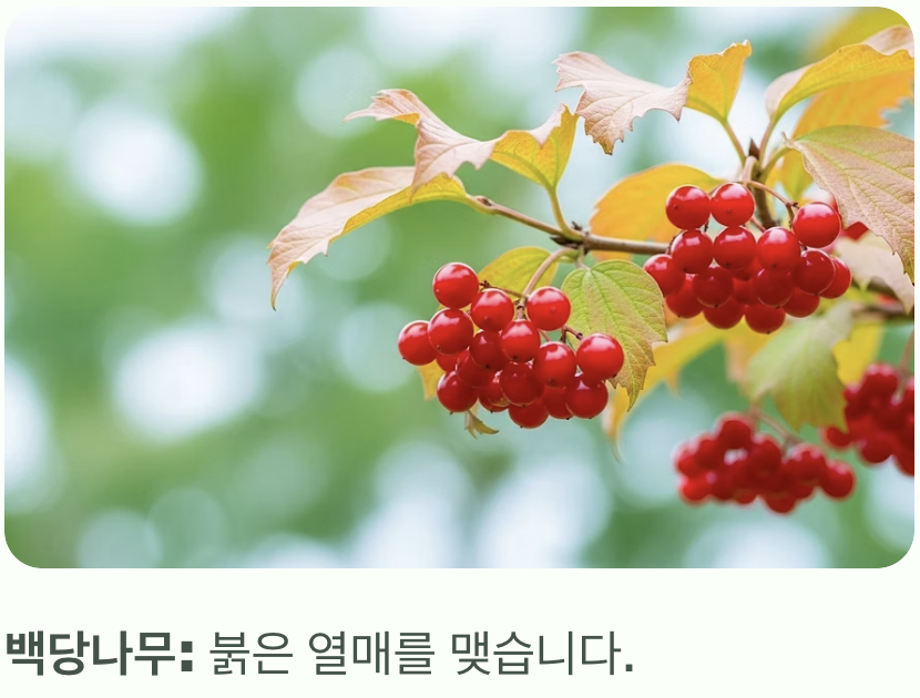 결정적 증거, 가을의 '붉은 열매'
