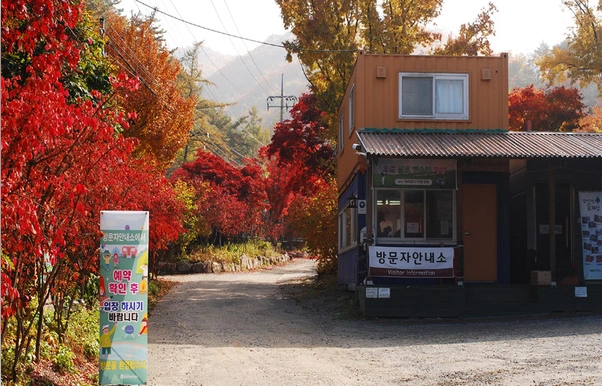 횡성자연휴양림
